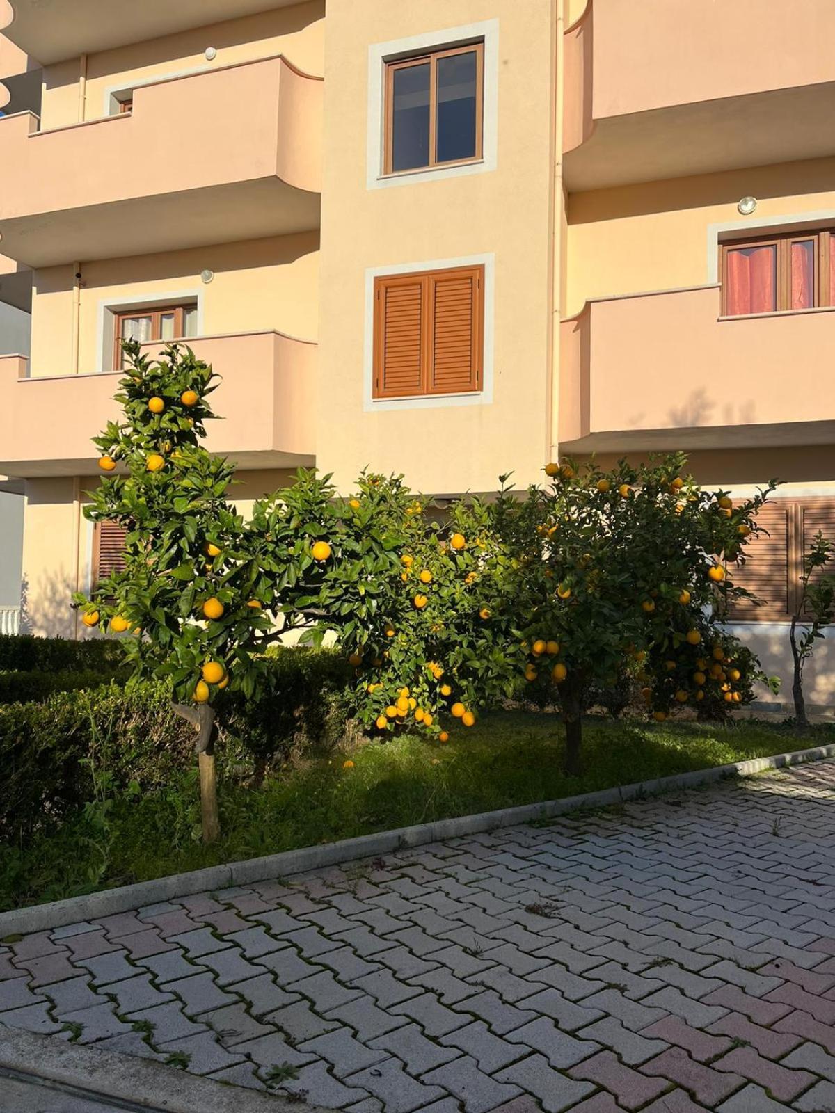 Škalngur Villa Dei Limoni מראה חיצוני תמונה