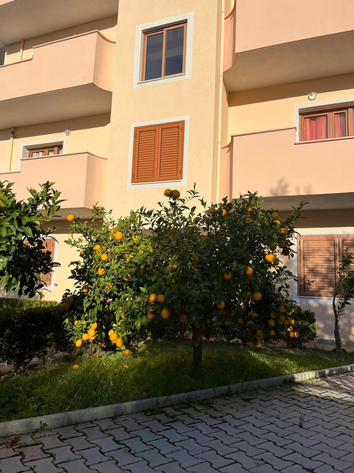 Škalngur Villa Dei Limoni מראה חיצוני תמונה