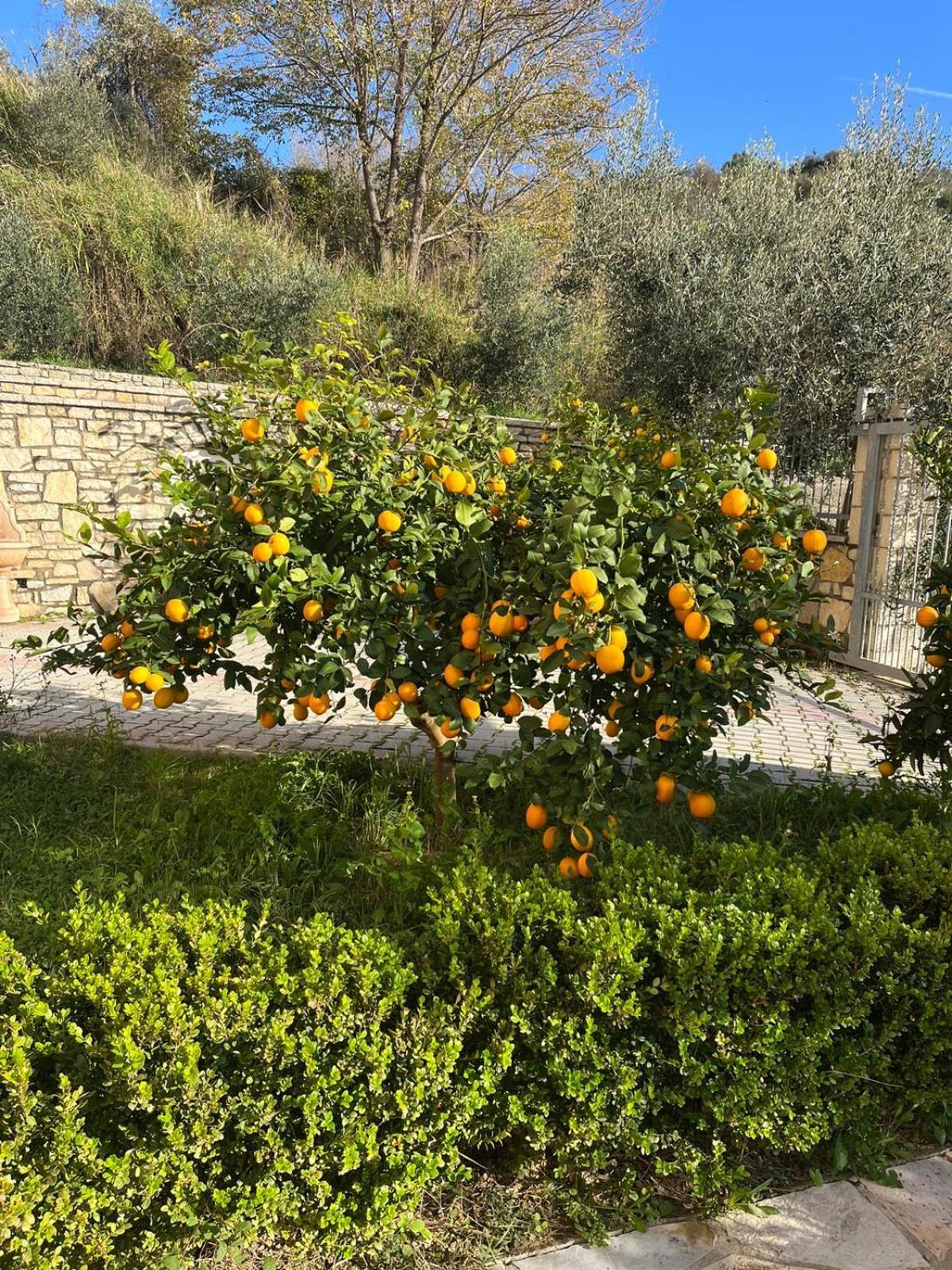 Škalngur Villa Dei Limoni מראה חיצוני תמונה